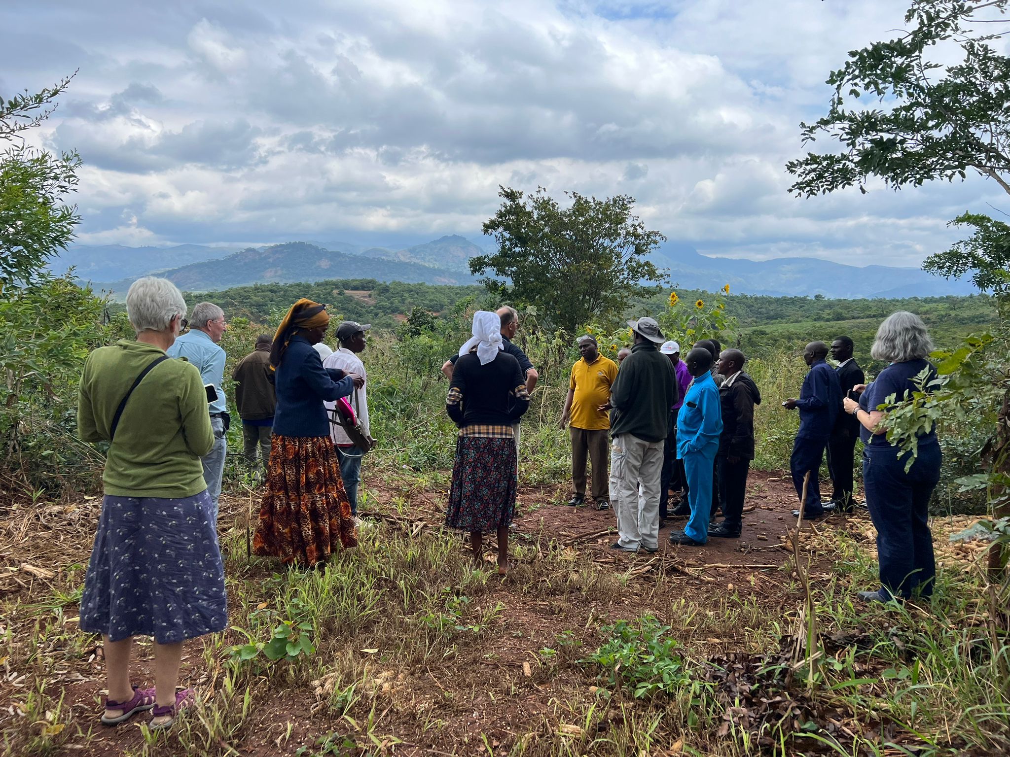 A group of people stand and look over the fields in Morogoro