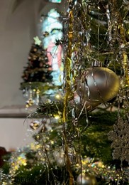 A close up image of a Christmas tree in Madresfield church with another in the background