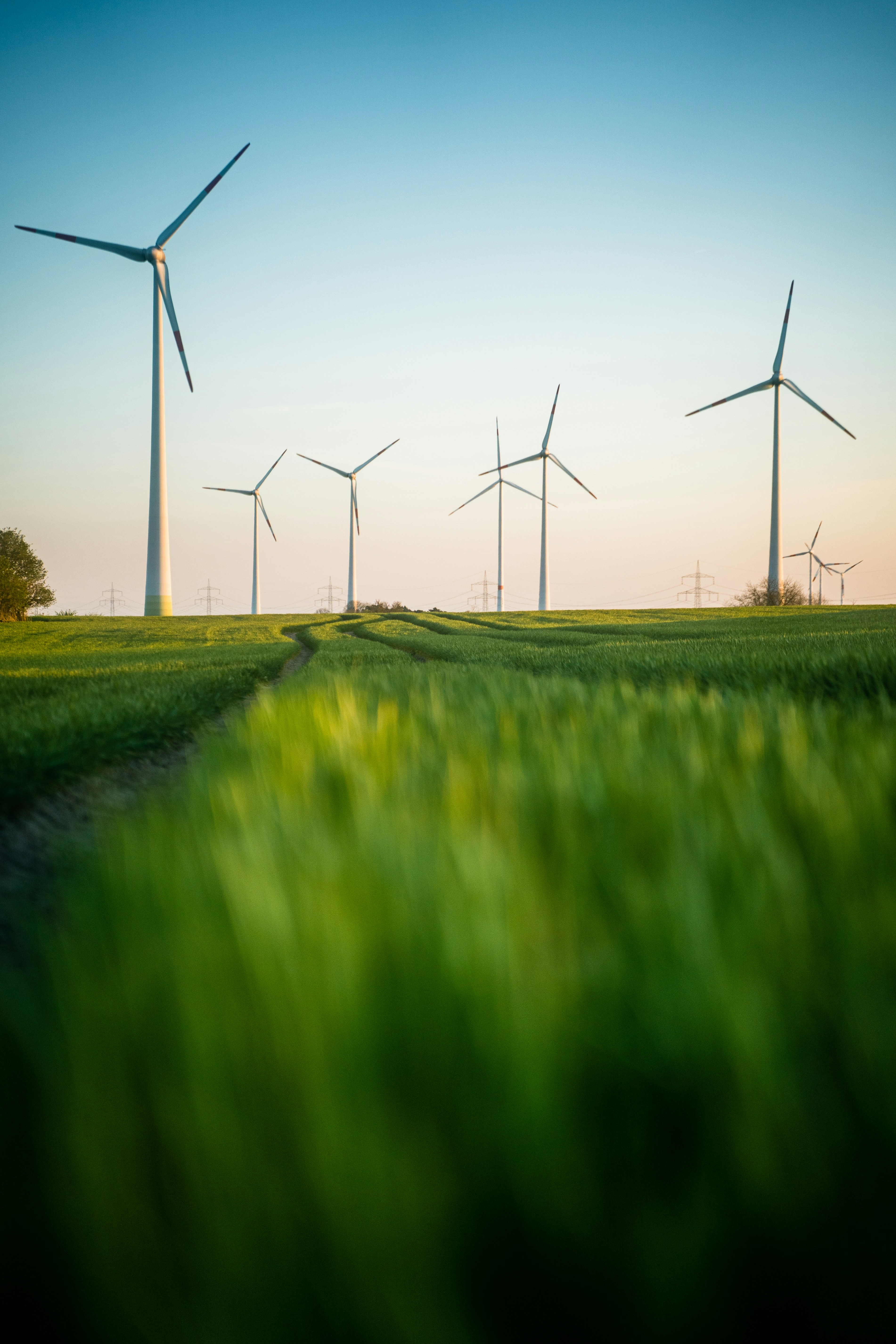 Picture of a number of wind turbines in a green field against a blue sky