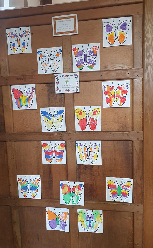 painted butterflies