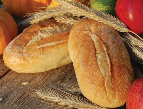 bread rolls