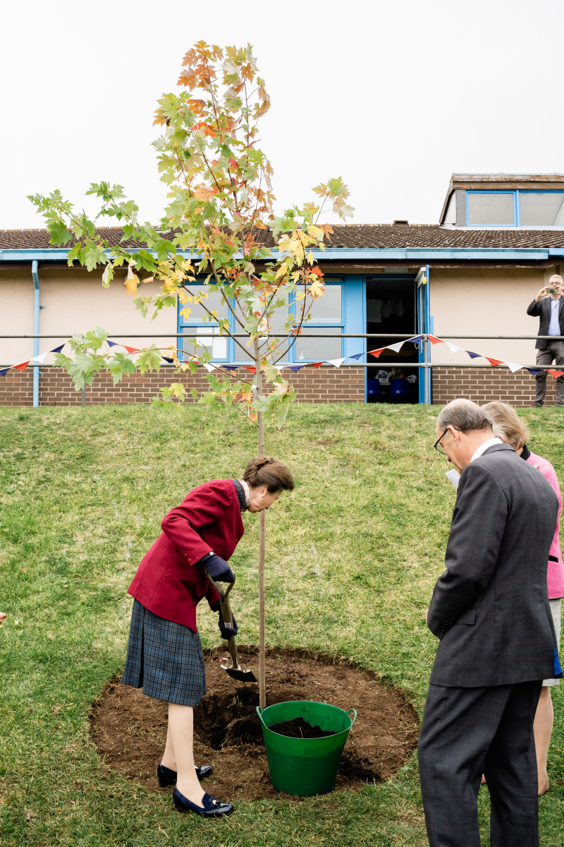 Princess Royal plants tree