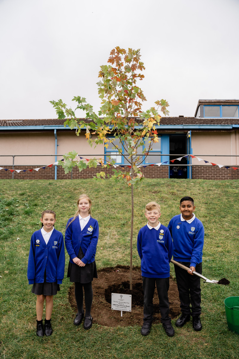 children by the tree