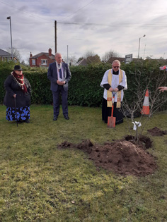 Tree planting