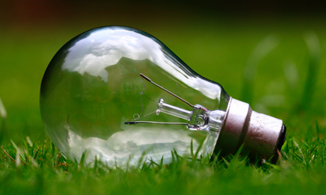 light bulb on grass