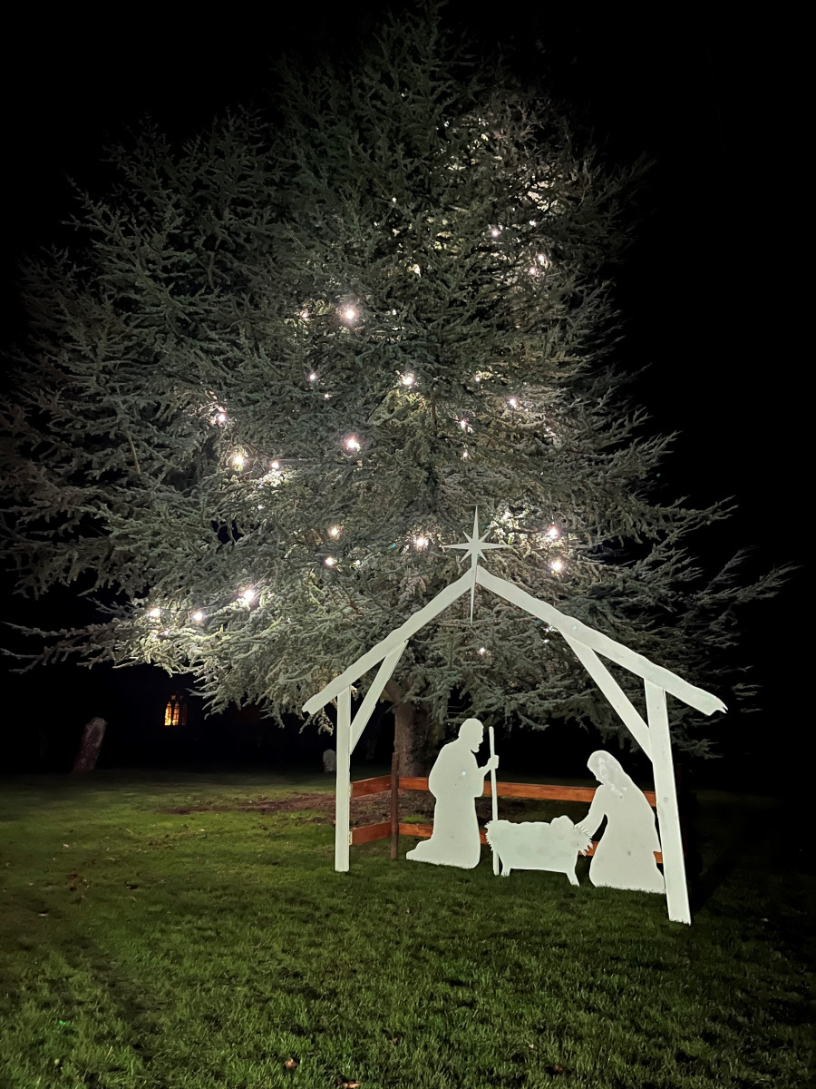 Nativity scene by the tree of light
