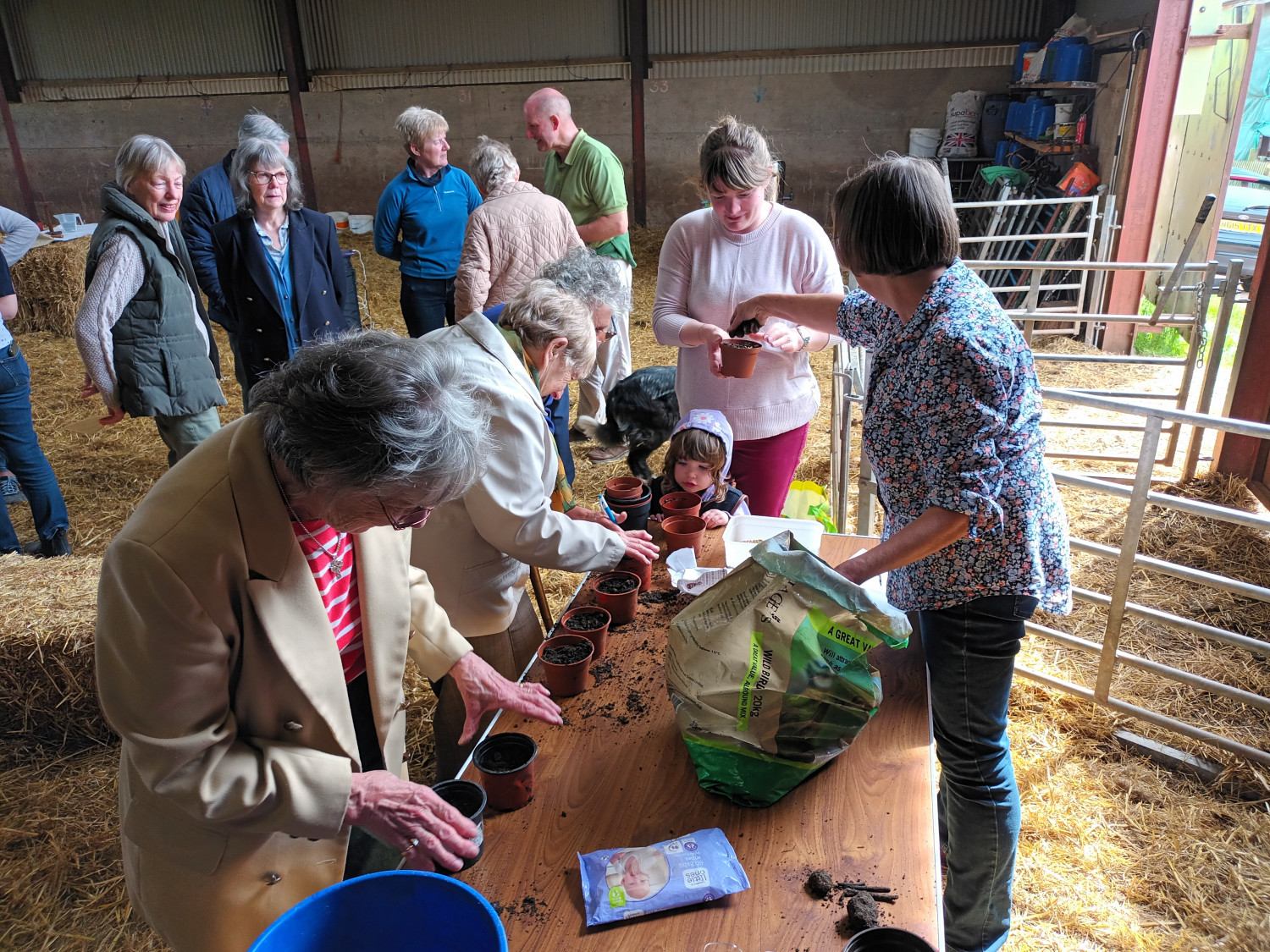 Planting seeds at the rogation service, Clifton