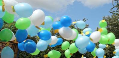 Open Holland House virtual balloon race